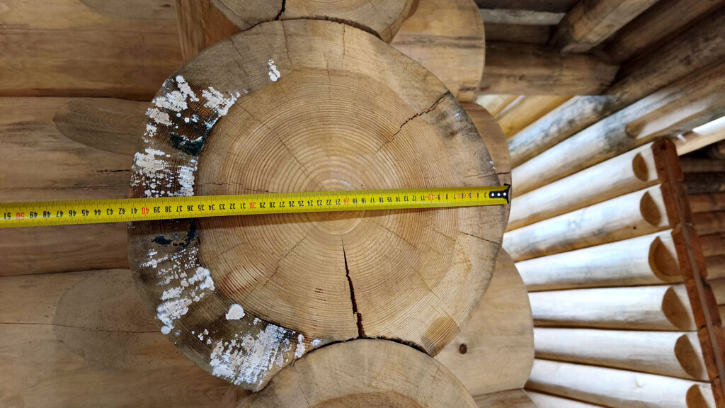 Фиксация намокания и плесени на торце бревна с измерением рулеткой