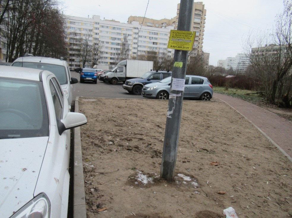 Неровный газон у дорожки Неровный газон у дорожки