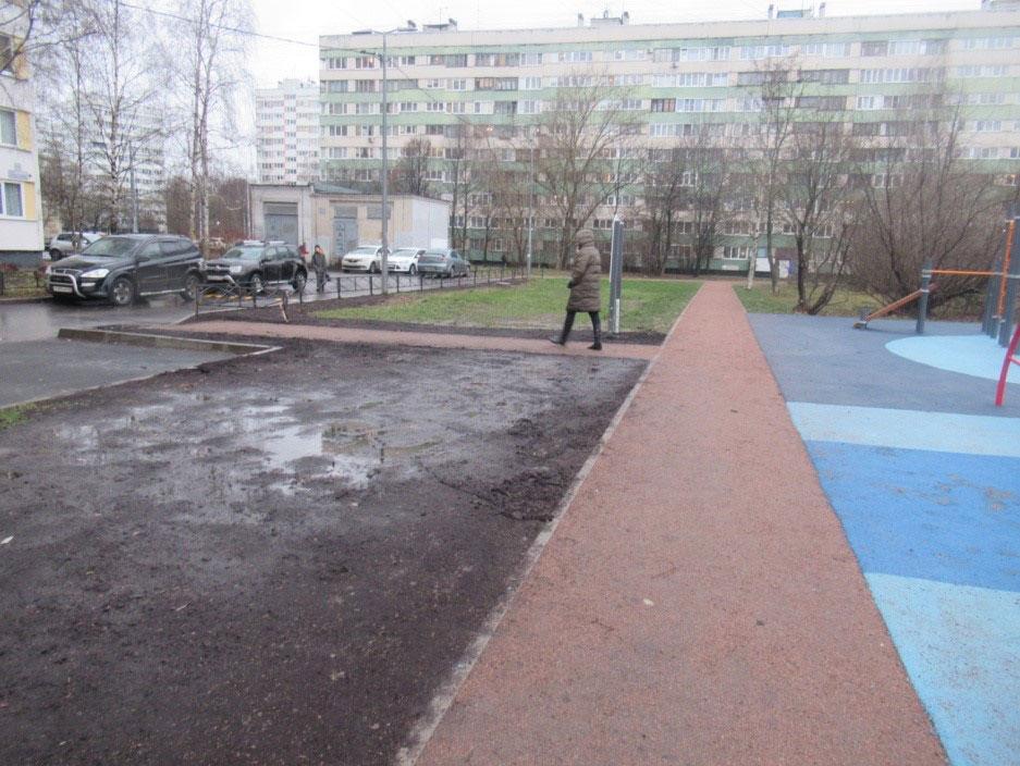 Газон после устранения дефекта Газон после устранения дефекта