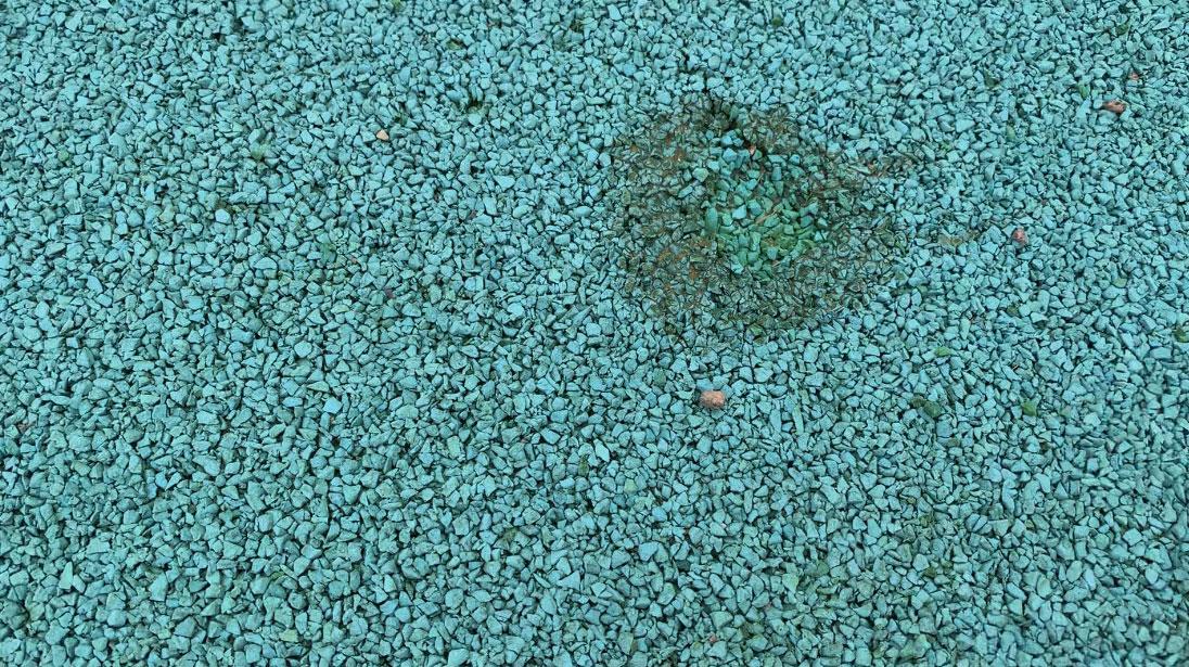 Дугообразный разрез Дугообразный разрез