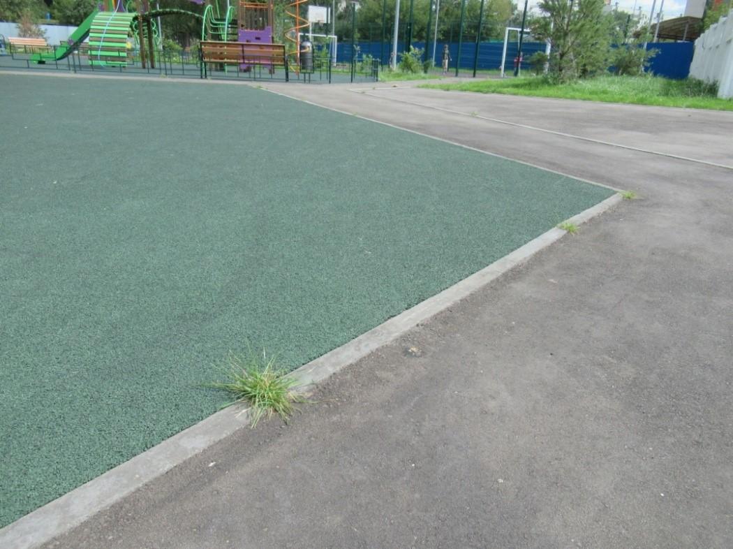 Трава у примыкания асфальта Трава у примыкания асфальта