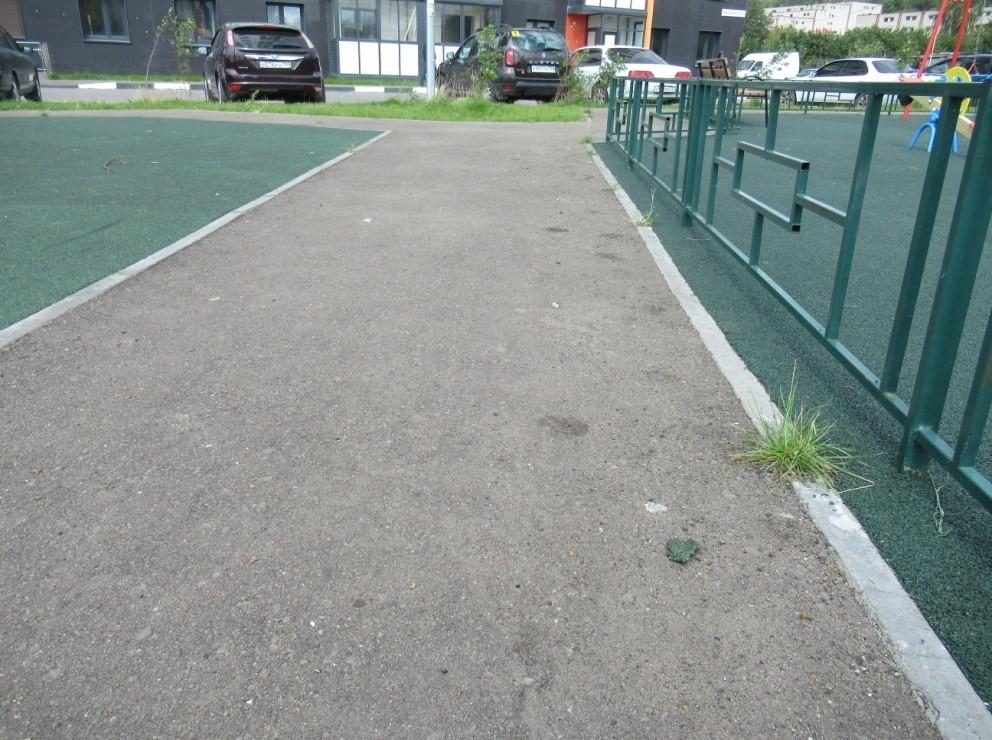 Растительность у бордюра Растительность у бордюра