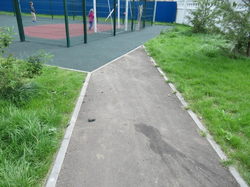 Проросшая трава у примыкания Проросшая трава у примыкания