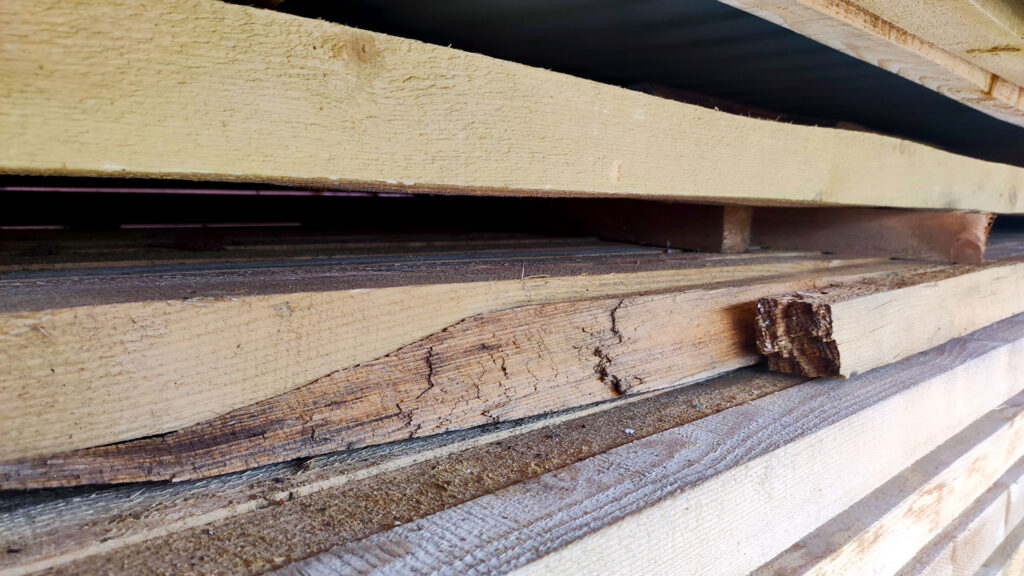 Доска в штабеле с трещинами и разрушением после намокания, подлежащая замене