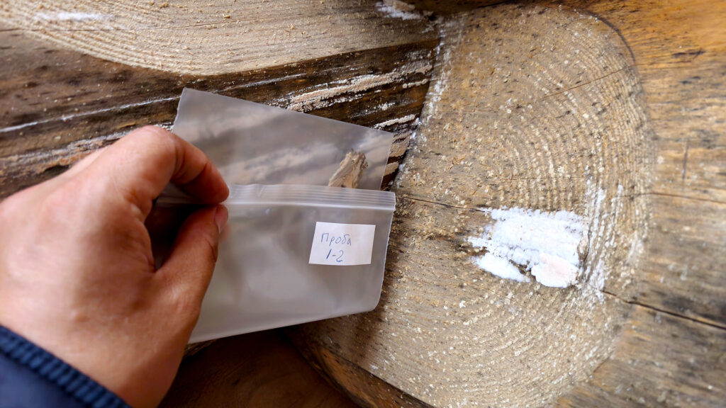 Отбор пробы с поражённой древесины при намокании и плесени для экспертной оценки