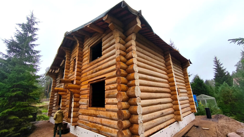 Деревянный дом из бревна на стадии строительства с признаками намокания древесины