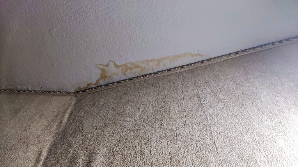 Следы протечки на потолке и стене в квартире верхнего этажа