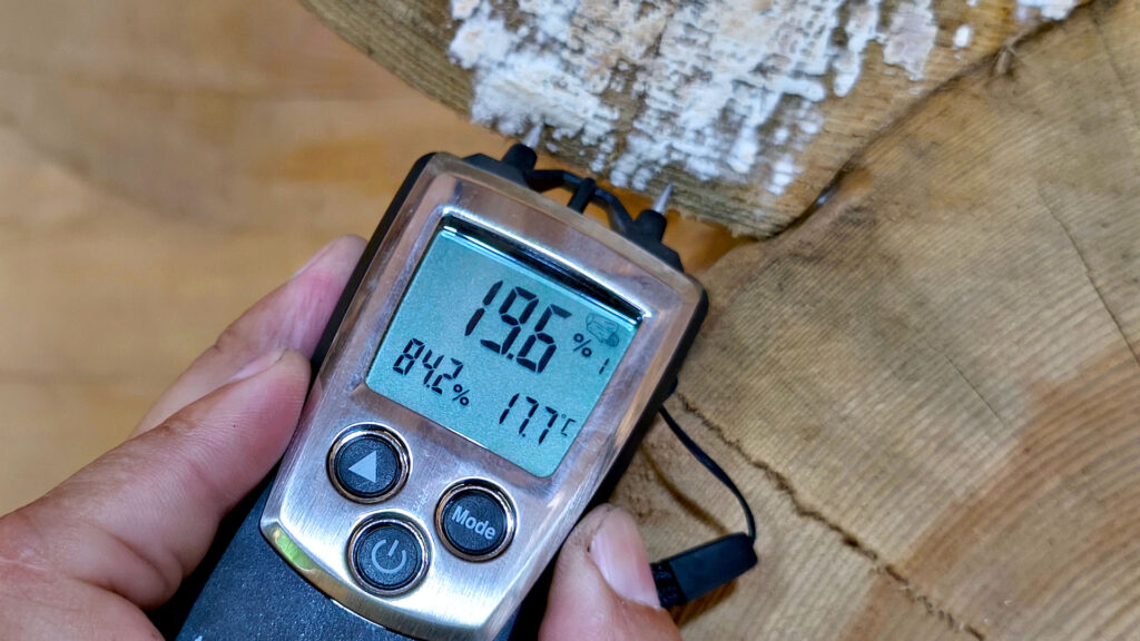 Измерение влажности древесины в зоне с потемнением и белым налётом