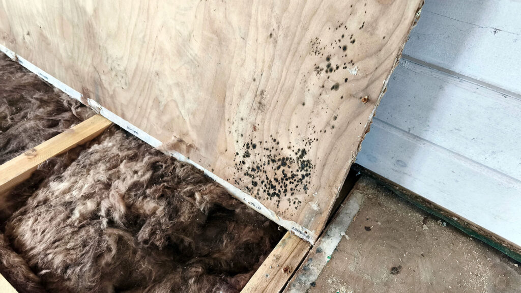 Намокание утеплителя и биопоражения после вскрытия пола