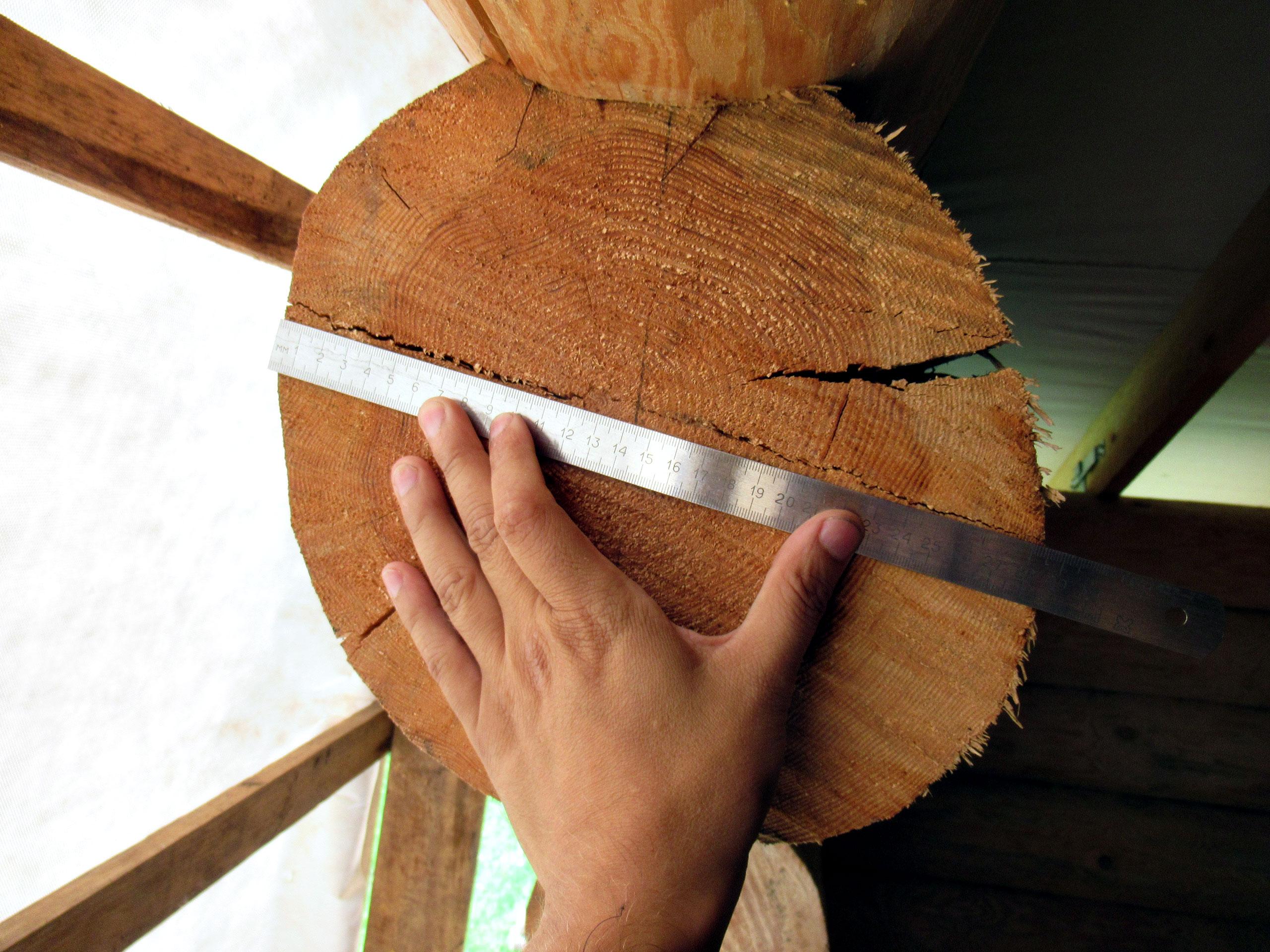 Измерение диаметра бревна и фиксация трещин на торце при экспертизе качества строительства бревенчатого дома